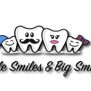 Little Smiles and Big Smiles - Dentists