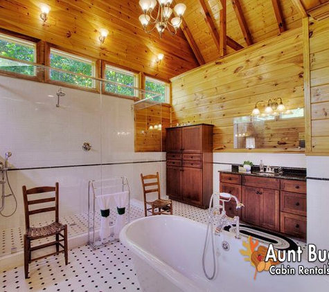 Aunt Bug's Cabin Rentals - Pigeon Forge, TN