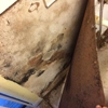 A Plus Mold Remediation Inc gallery