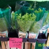 Joes Farm Fresh Produce Market gallery