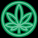 Cannabis Doc - Brandon Medical Marijuana Doctor & Marijuana Cards - Physicians & Surgeons