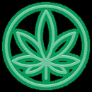 Cannabis Doc - South Tampa Medical Marijuana Doctor & Marijuana Cards - Physicians & Surgeons