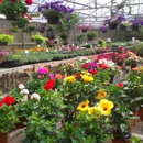 McDade's Nursery - Nurseries-Plants & Trees