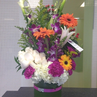 More Than Flowers Miami Florist and Flower delivery - Miami, FL