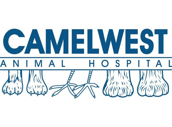 Camelwest Animal Hospital - Phoenix, AZ
