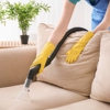 Beehive Cleaning gallery