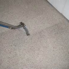 Carpet Steam Clean Green Professionals