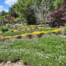 Sunburst  Nursery and Landscape - Landscape Contractors