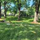 Pitts Lawn & Tree Service - Stump Removal & Grinding