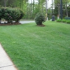 Ultimate Finish Lawn and Landscape gallery