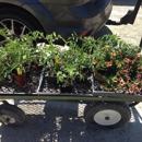 Otto & Sons Nursery - Garden Centers