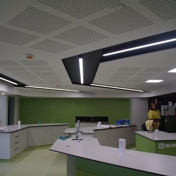Gallery Image Number 1