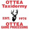 Ottea Taxidermy gallery