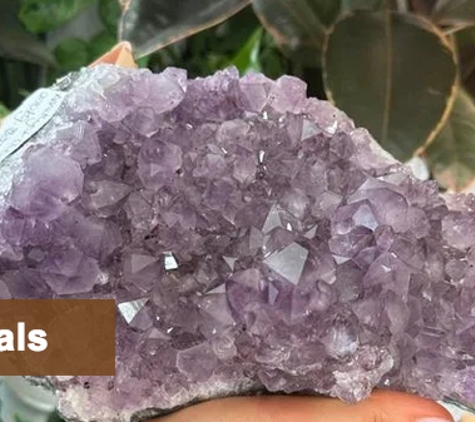My Florist Launceston Tasmania & Metaphysical Launceston - Launceston, TAS. Crystals