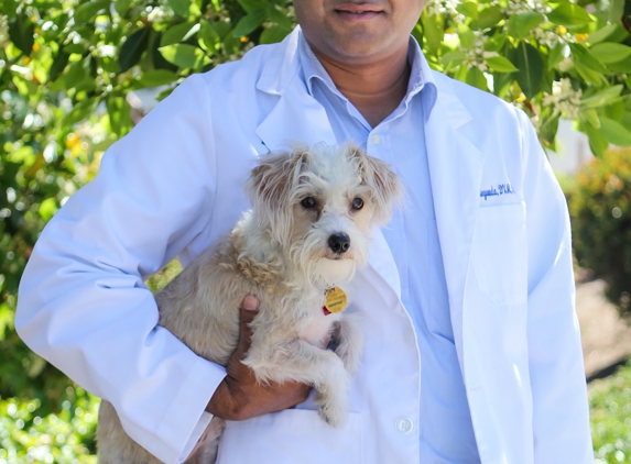 Lemon Grove Veterinary Hospital - Lemon Grove, CA