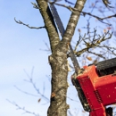 O'Brother Tree Service - Tree Service
