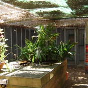 Gallery Image Number 5