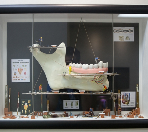 Sundial Dental Taree - Taree, NSW. Dentistry Is A Team Effort With You, The Patient At The Head Of The Team!