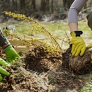 Precision Tree Service - Tree Service