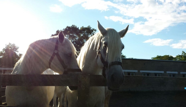 Bronx Equestrian Center, Inc. - Bronx, NY