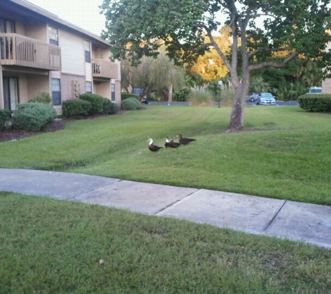 Sanford Landing Apartments - Sanford, FL