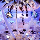 Domino Art Photography and Cinematography