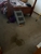 Esgee Cleaning Services - Cleaning - Home