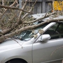 Ram Insurance Service - Insurance