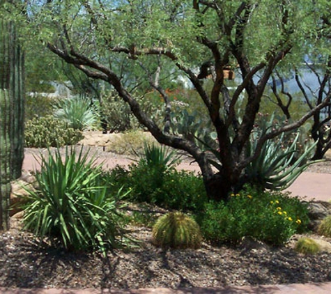 Goodman's Landscaping and Maintenance - Phoenix, AZ