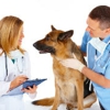 Grand Valley Veterinary Emergency Center gallery