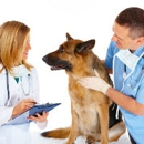 Grand Valley Veterinary Emergency Center - Veterinary Specialty Services