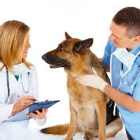 Grand Valley Veterinary Emergency Center