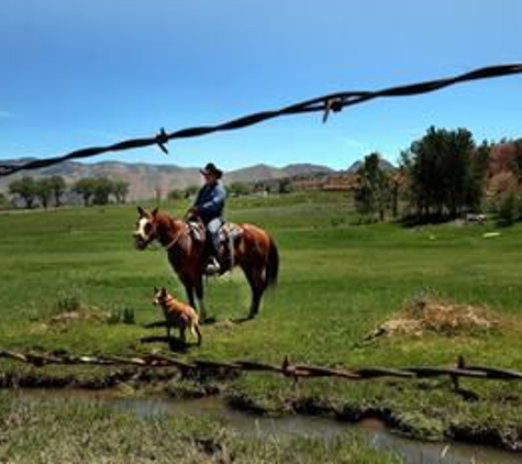 Meadowcliff Lodge & Restaurant - Coleville, CA