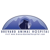 Brevard Animal Hospital gallery