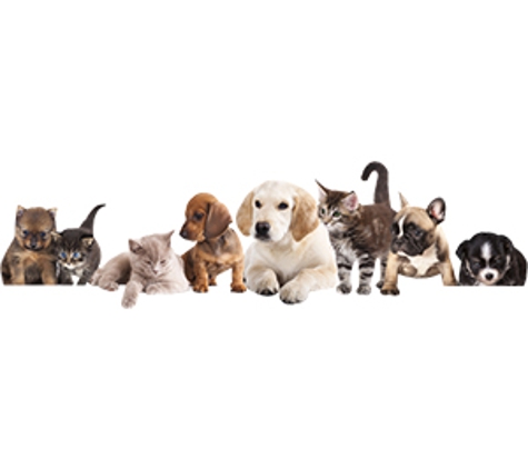 Warby Street Veterinary Hospital - Wangaratta, VIC