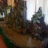 Hibachi Grill Sushi & Seafood Buffet gallery