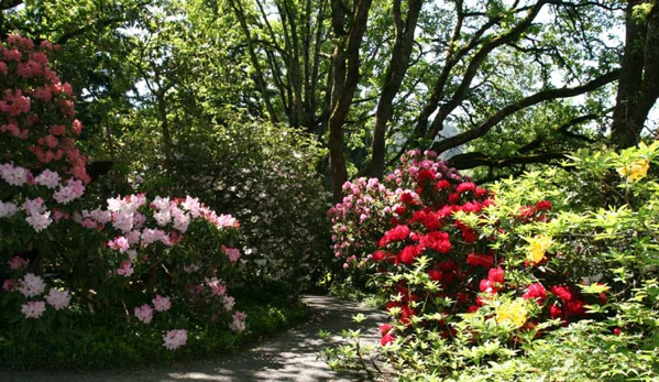 Hendricks Park - Eugene, OR