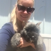 Woodmen Kennels gallery