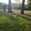 Mt. Airy Dog Park gallery