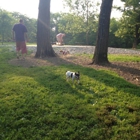 Mt. Airy Dog Park