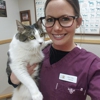 Salina veterinary hospital gallery