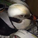 Wildlife Center of Virginia - Tourist Information & Attractions