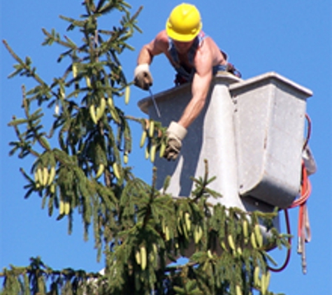 Jims Tree Service - Monroe, CT