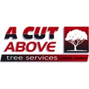 A Cut Above Tree Services - Tree Service