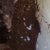 Gallery Image Number 1
