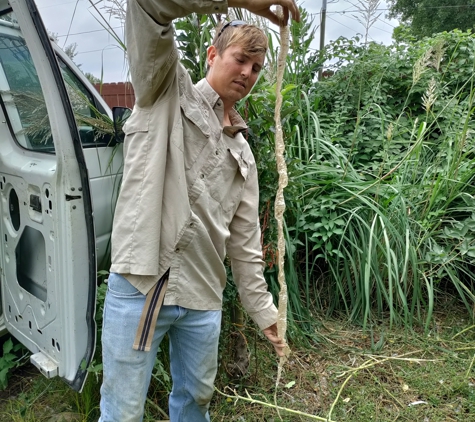 Colson Sprinkler & Landscaping. Snake skin found in valve box! ����