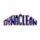 DynaClean Professional Services