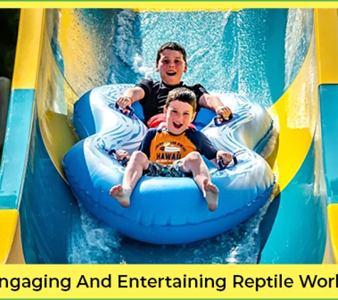 The Big Banana Fun Park - Coffs Harbour, NSW. Engaging And Entertaining Reptile World