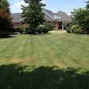 Bellis Lawn and Gardens - Drainage Contractors