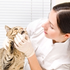 Tender Loving Care Animal Hospital Pc